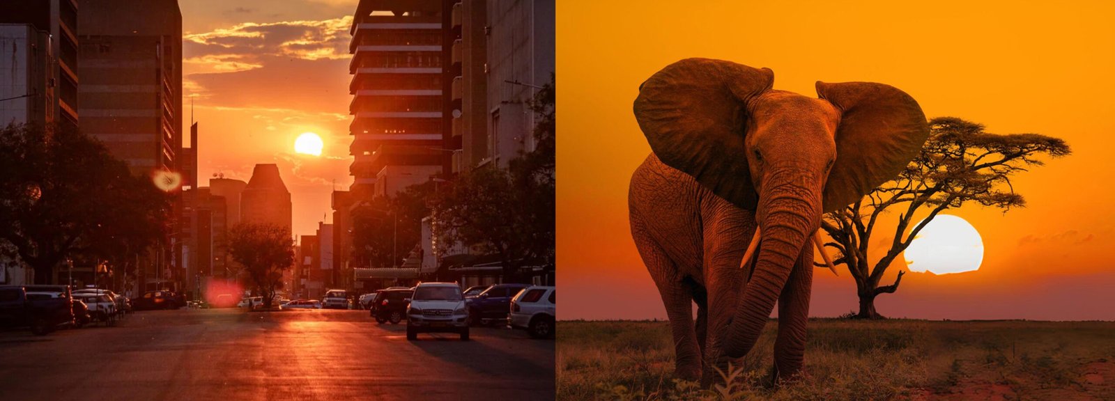 Sunsets In Africa